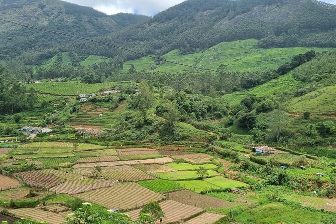 Kochi to Munnar Private Full Day Guided Tour With Hotel Pickup - Why this Kochi to Munnar day tour feels like good value