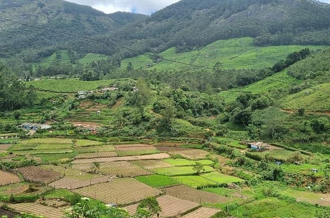 Kochi to Munnar Private Full Day Guided Tour With Hotel Pickup - Cheeyappara Waterfalls: a short stop with real payoff
