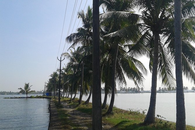 Kochi Village Life Experience tour - The Real Tour of Kochi ! - Key things to know before you go