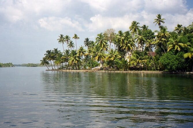Midday Cruise with Village Life - Key highlights at a glance