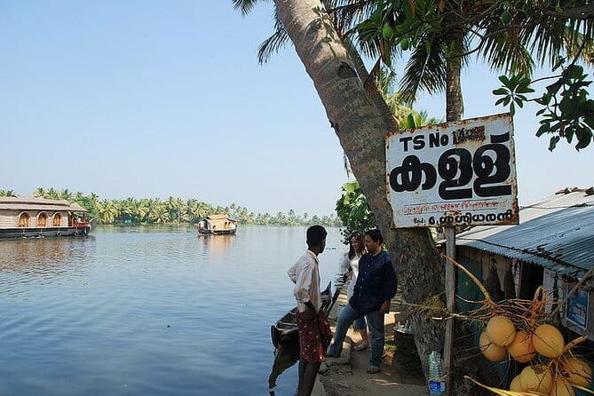 Midday Cruise with Village Life - Stop 2: Bird Sanctuary Time for Local Birds and Migrants
