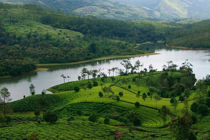 Multi Day Private Guided Tour of Kerala from Kochi by Car - Alleppey backwaters by houseboat: slow cruising plus a historic church visit