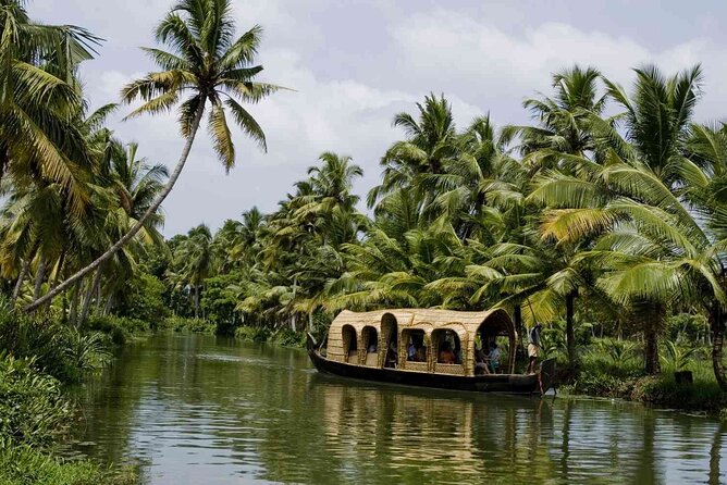 Nature Beauty, Backwater of Kerala Tour (05 Nights - 06 Days) - Backwaters, tea hills, and Periyar: what this 6-day route gets right