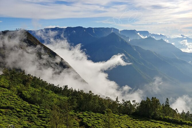 Private Day Trip to Munnar from Kochi (Cochin) - Kochi to Munnar: the long ride that still feels worthwhile