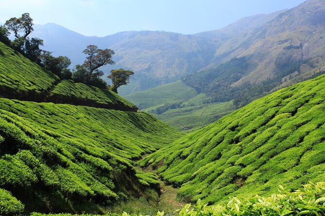 Private Day Trip to Munnar from Kochi (Cochin) - The day’s pacing: 13 hours sounds big, but it’s organized