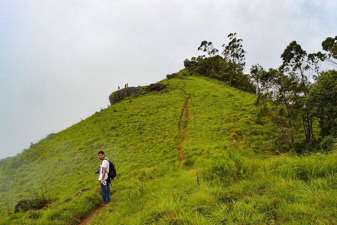 Scenic Kerala : Hills, Wildlife, Backwaters & Beach Bliss- 7 Days - Kochi to Munnar: waterfalls and traditional Kerala stage art