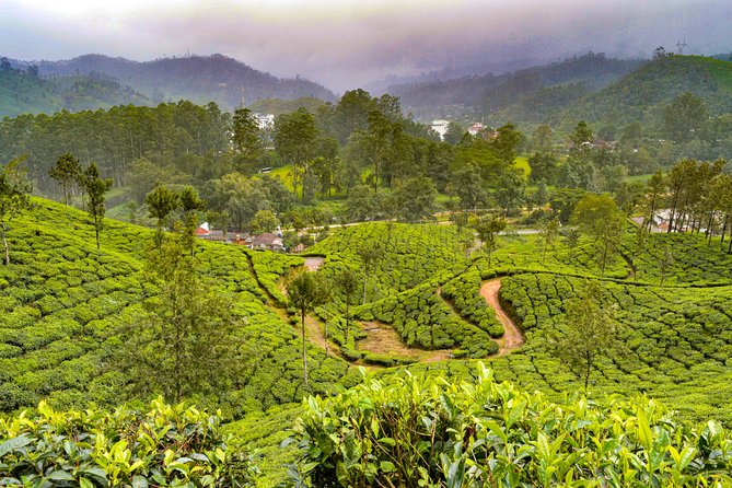 Scenic Kerala : Hills, Wildlife, Backwaters & Beach Bliss- 7 Days - Thekkady (Periyar): Green Park spices and Periyar Lake wildlife time