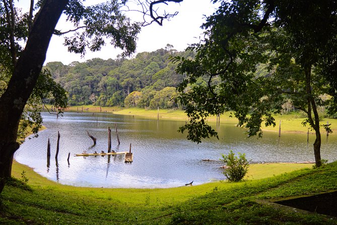 Scenic Kerala : Hills, Wildlife, Backwaters & Beach Bliss- 7 Days - Price and value: what you get for $891.93 per group (up to 2)