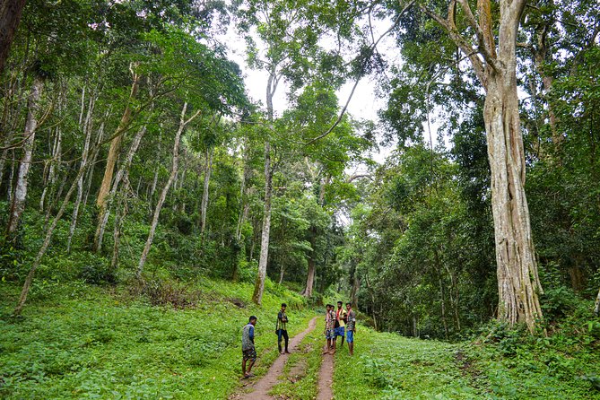 Scenic Kerala : Hills, Wildlife, Backwaters & Beach Bliss- 7 Days - Who this 7-day Kerala route suits best