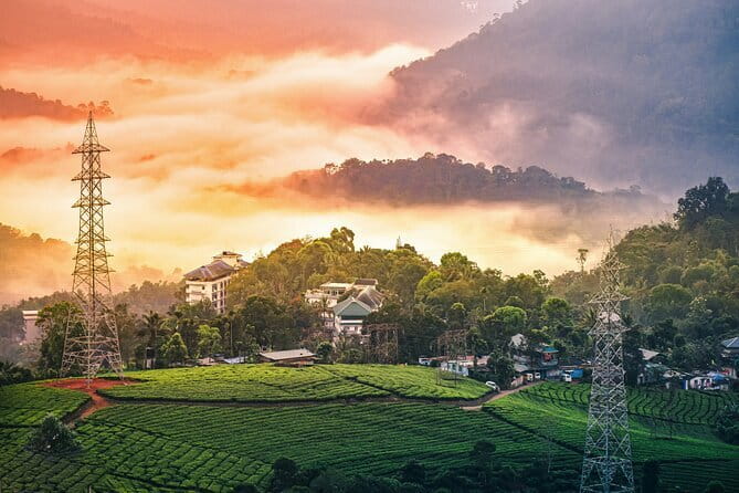 Serene Munnar Retreat: Private Tour from Kochi to the Munnar Hill - Tea Gardens, Echo Point, and the Rose Garden: The Classic Munnar Circuit