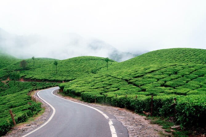 Serene Munnar Retreat: Private Tour from Kochi to the Munnar Hill - Who This Tour Fits Best (and Who Should Skip It)