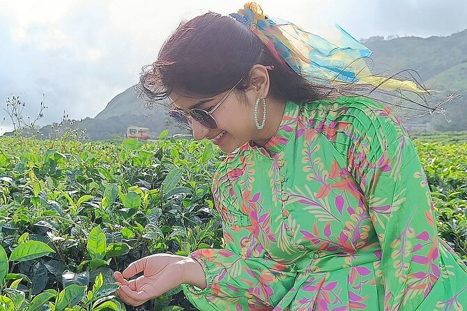 Solo Kerala Private Tour Package ( 5 Nights) - Munnar, Thekkady, Houseboat - Munnar in detail: dams, tea museums, gardens, and Eravikulam park