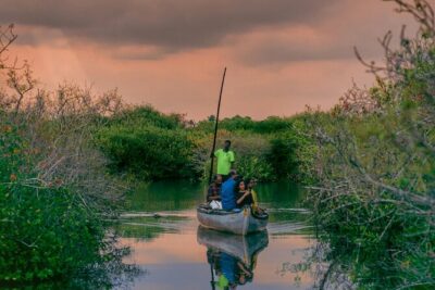 Sunset Cruise with Village Life and Local Food - The Bay Island Driftwood Museum stop: a short, local prelude