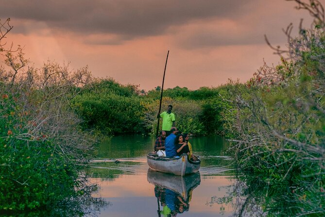 Sunset Cruise with Village Life and Local Food - The Bay Island Driftwood Museum stop: a short, local prelude