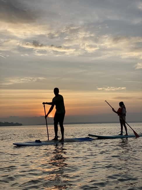 SUP in Kochi: Sunrise Stand-Up Paddleboarding Tour - Where you meet and how the morning flows
