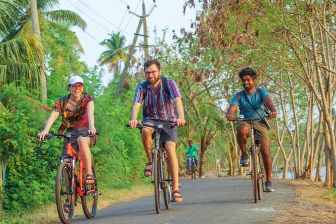 Village Bike Tour & Birdwatching - Chellanam Harbour: fishing village energy and the morning fish auction