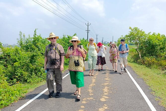 Village Walking Tour and Bird Watching - Kochi on Quiet Lanes: The real appeal of this bird-and-village loop