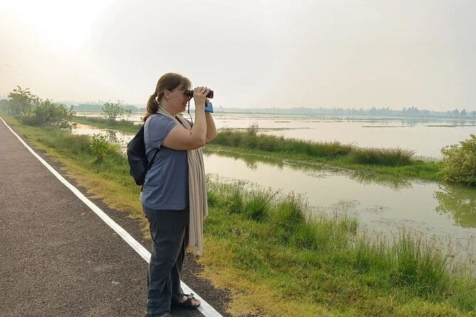 Village Walking Tour and Bird Watching - Walking the Chellanam-style village roads: what you’ll actually do