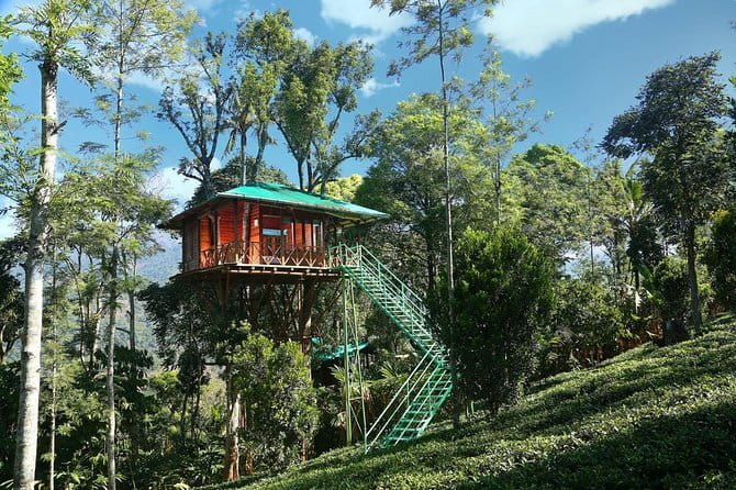 Village Walking Tour and Bird Watching - Breakfast or tea and snacks: the reset that makes the tour feel complete