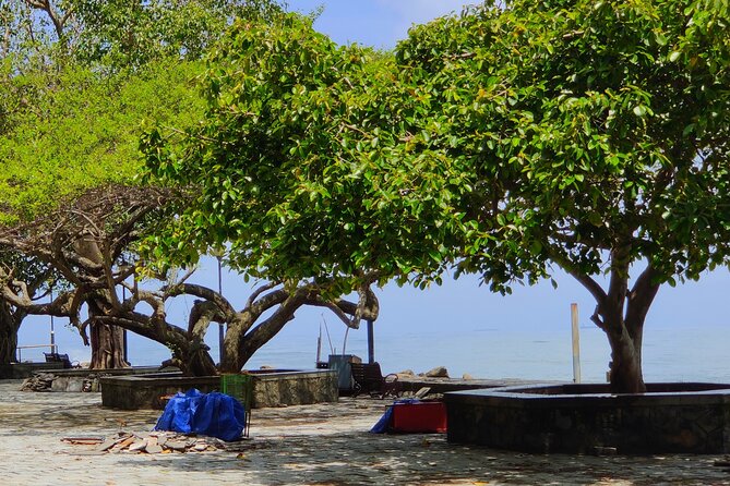 Walking Tour Of Fortkochi & Local Lunch - Price and value: what $34 gets you in Fort Kochi